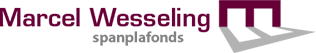 een-stijlvolle-en-betaalbare-plafondoptie